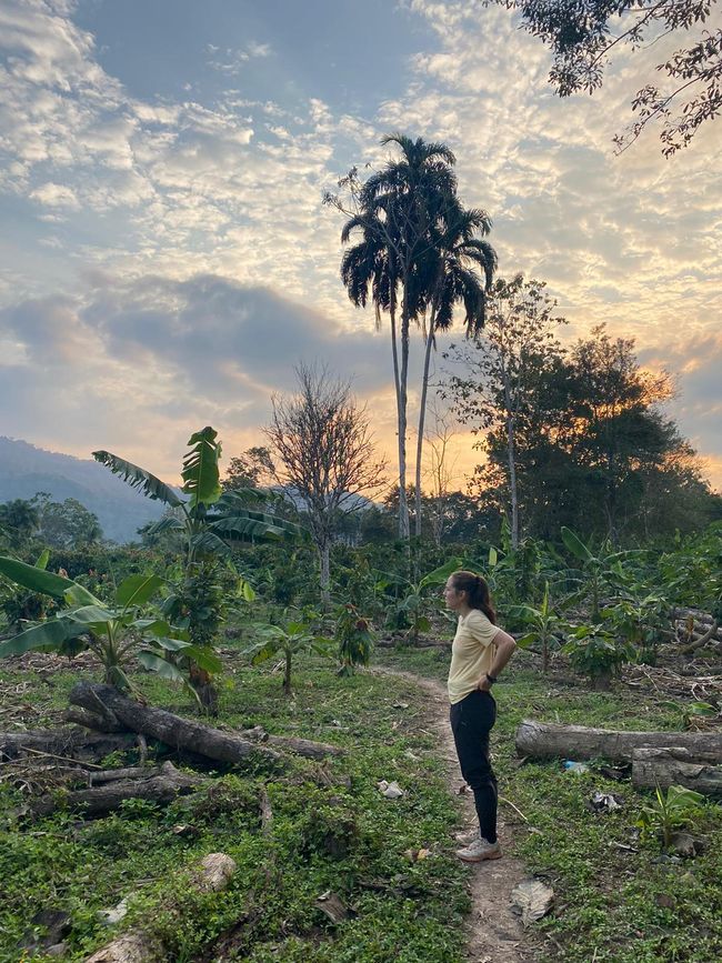 Leuchtende Käfer, grüne Orangen und andere Besonderheiten: Meine letzten Tage in der peruanischen Selva