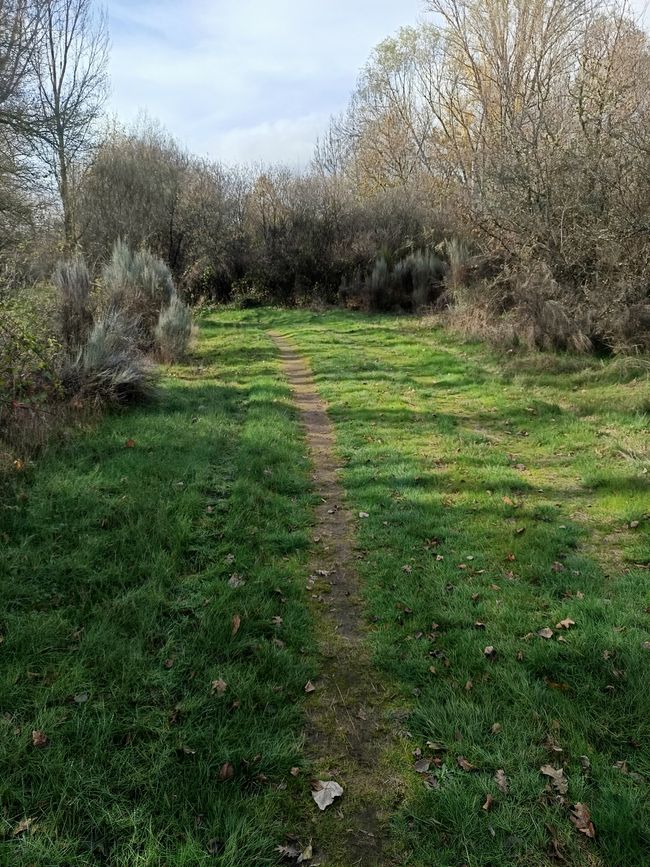 Waldwege gehen immer