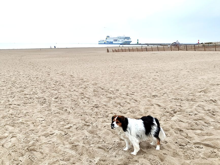 Warnemünde bei Rostock - Kurztrip nach einem Kundentermin 