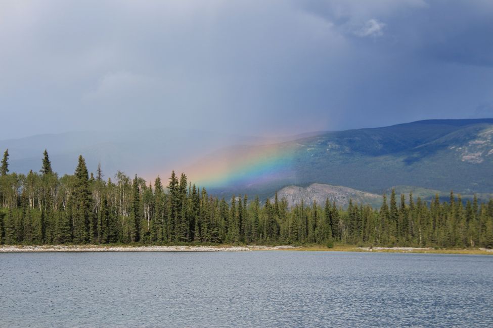 Boya Lake Campground - Site 5