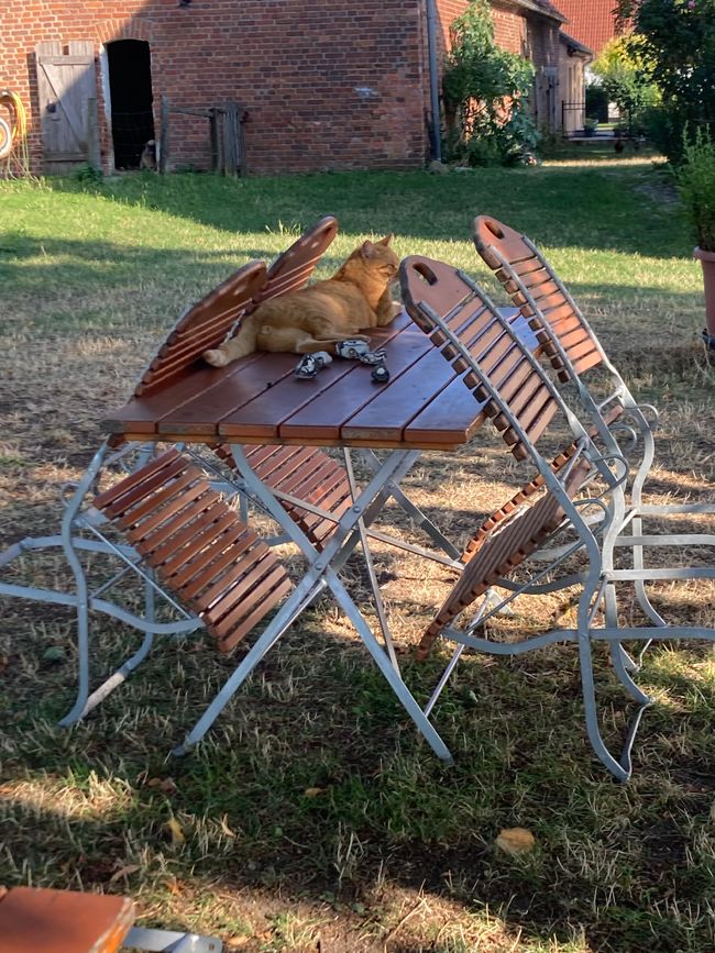 Übernachtung mit einem Fremden
im Pasterhof - Eichhorst-