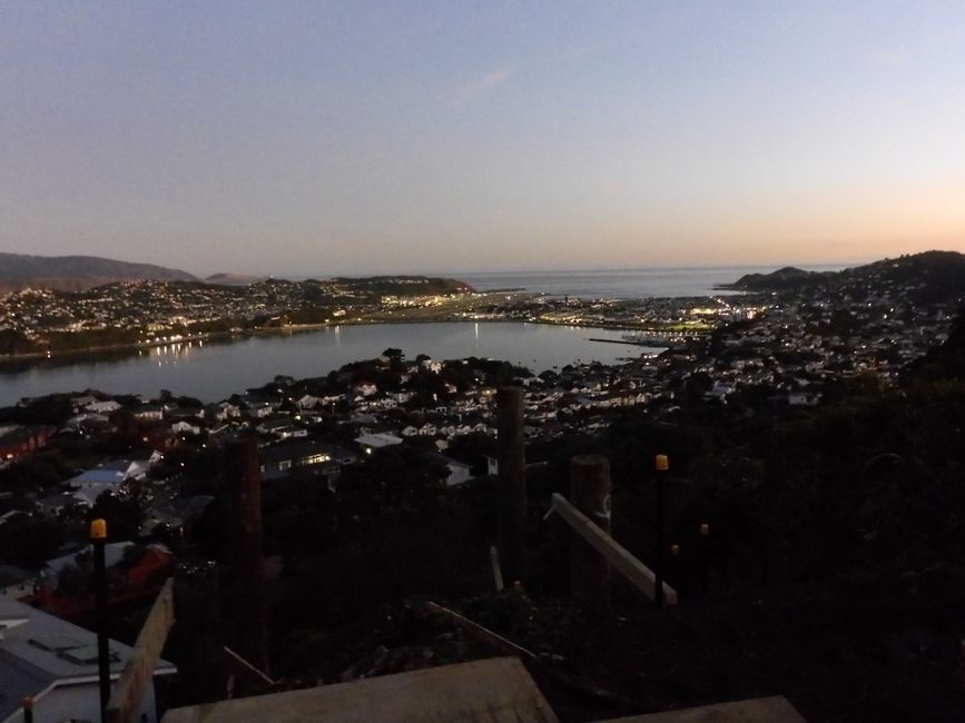 2025-03-25 NZ, l'Isola del Nord, Wellington