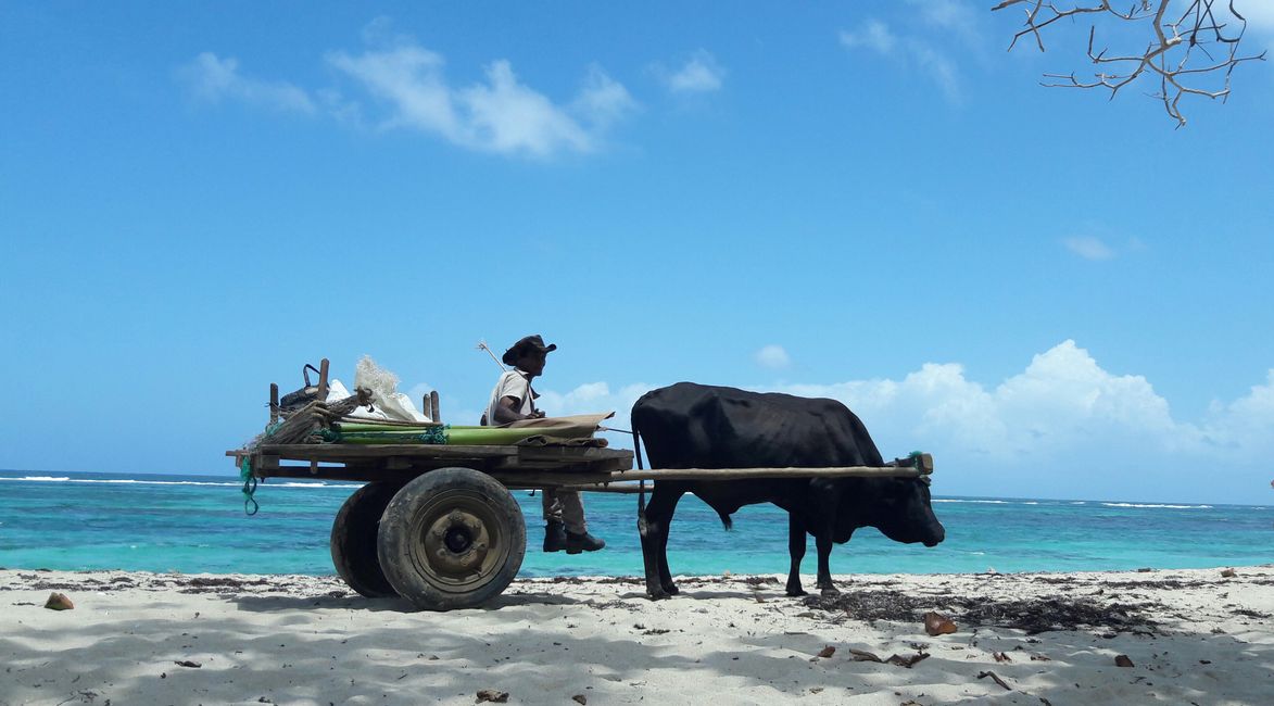 Cuba
