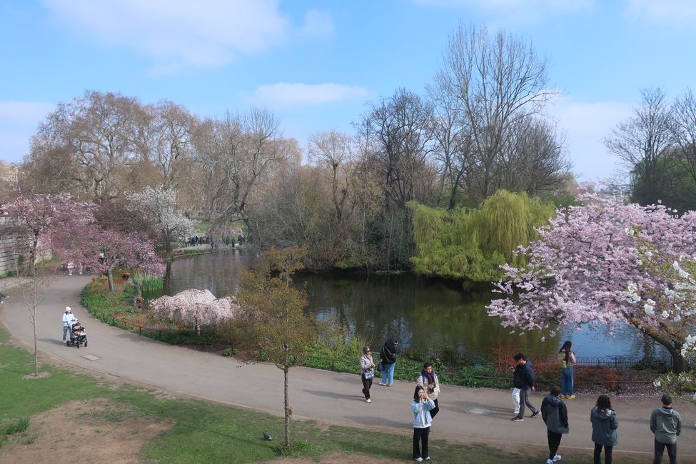St. James Park