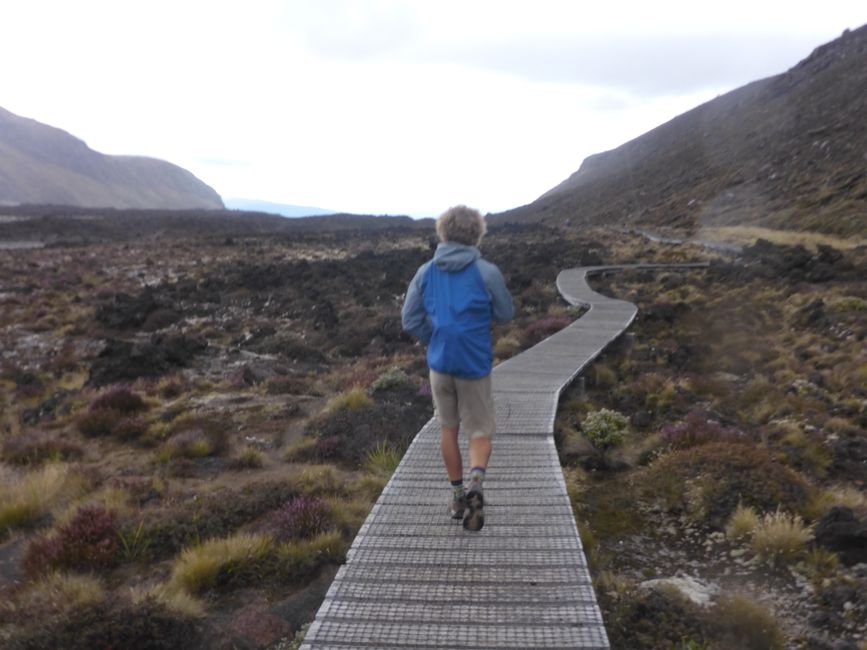 2025-03-29 Tongariro, Timber Trail and ...