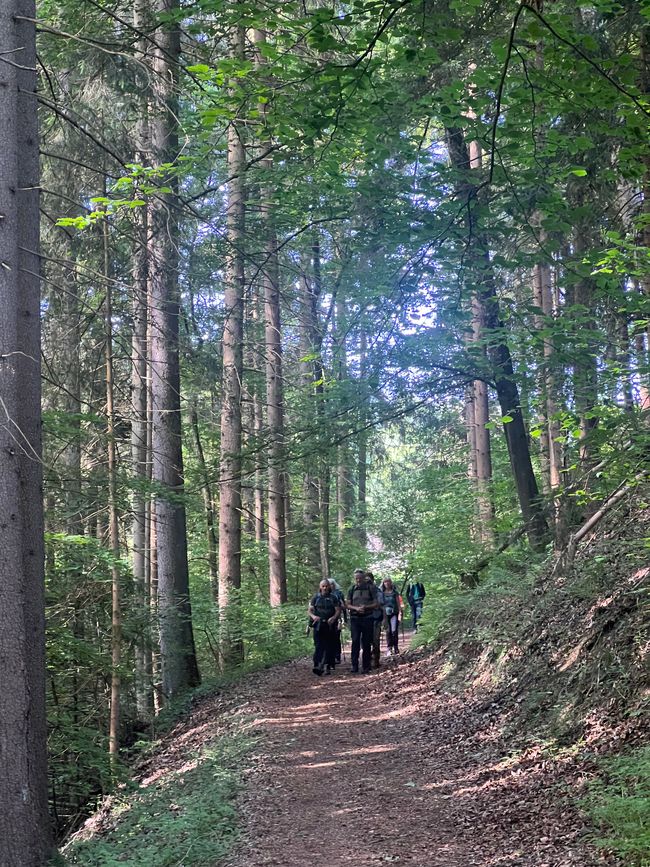 28 Wutachschlucht Pro Wolermoos