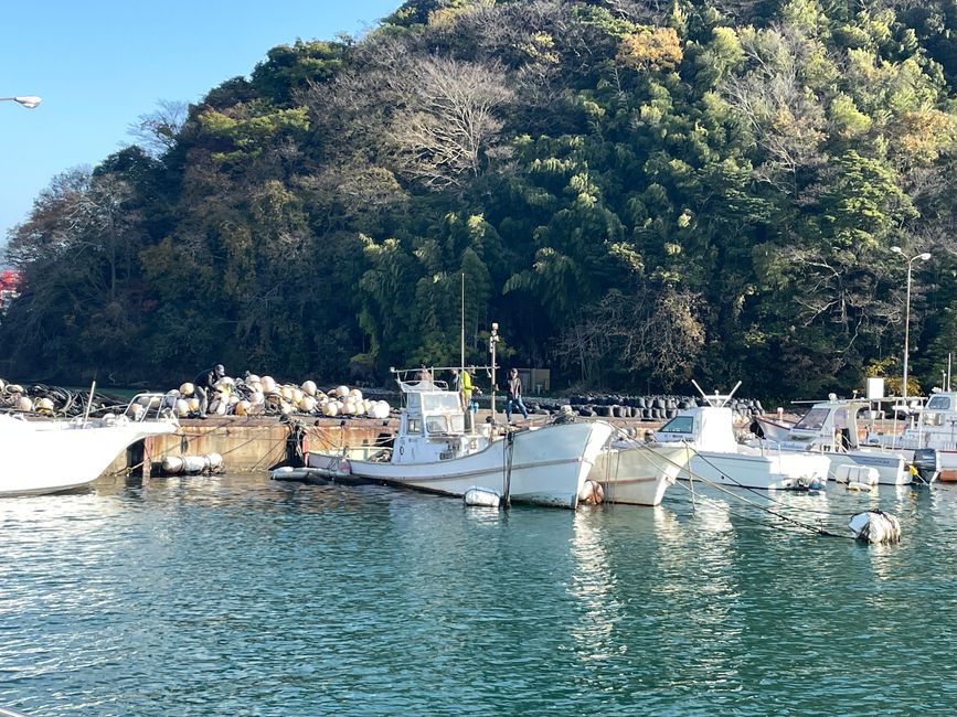 30.Kapitel: Adler über Maizuru oder genug ist vielleicht mal genug