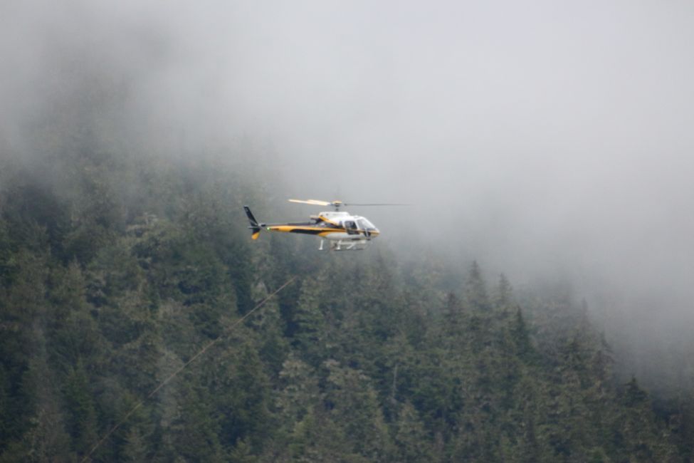 Tag 16: Stewart,BC / Hyder,AK - Meziadin Lake: Bear Stalemate