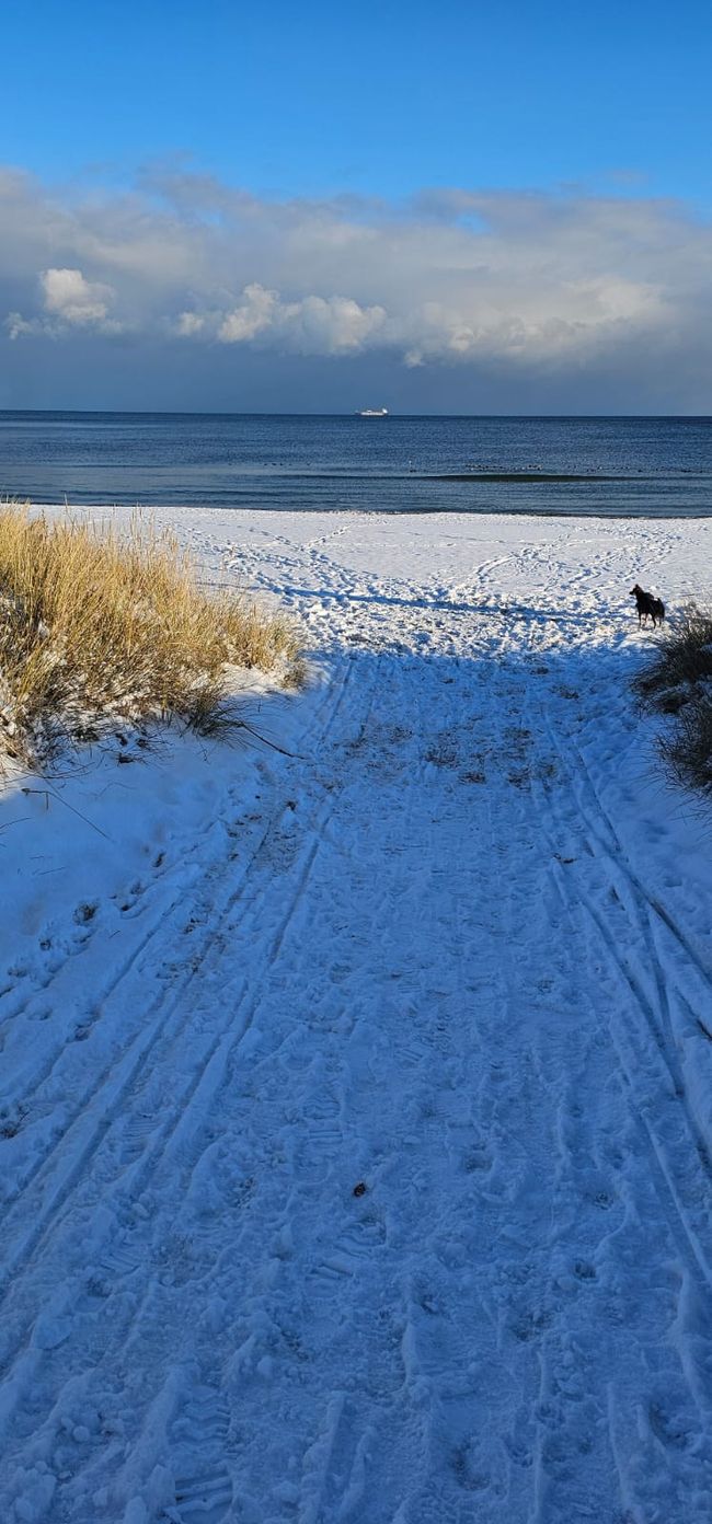 Der Strand von Baabe am Vormittag - wunderbar!