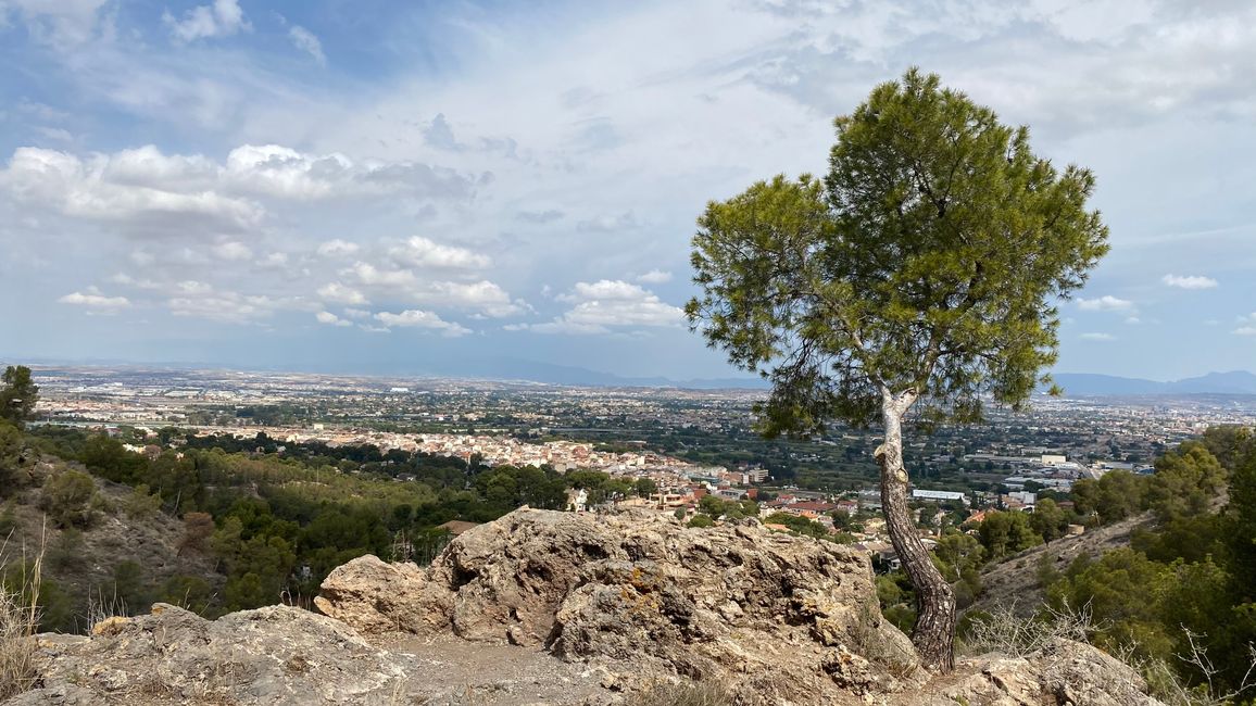 Blick auf Murcia