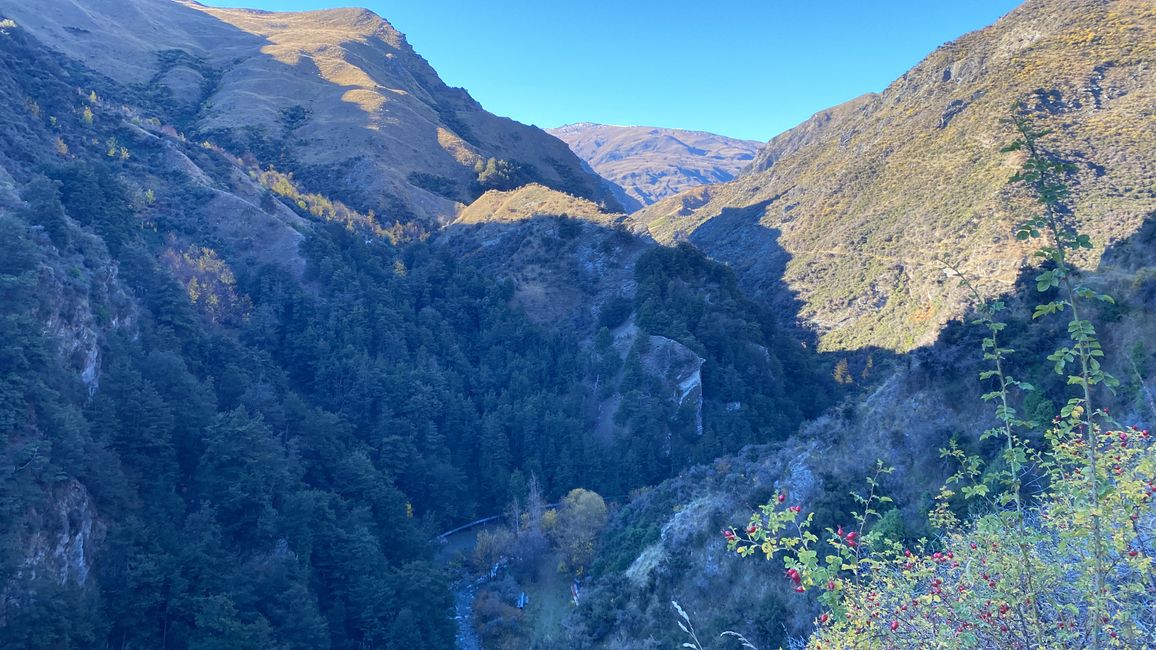Arrowtown, Queenstown