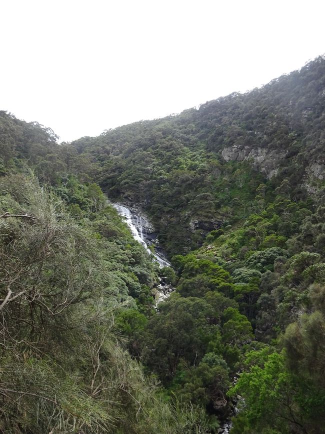 Gran Carretera del Océano