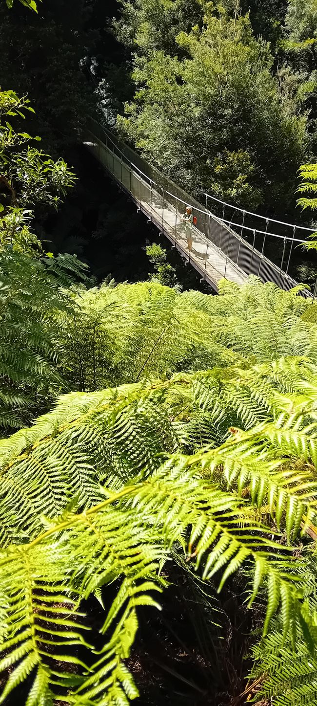 Tarra Bulga & Raymond Island