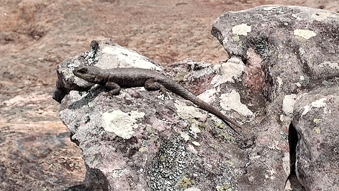 Brasil, en camino al Parque Nacional Diamante