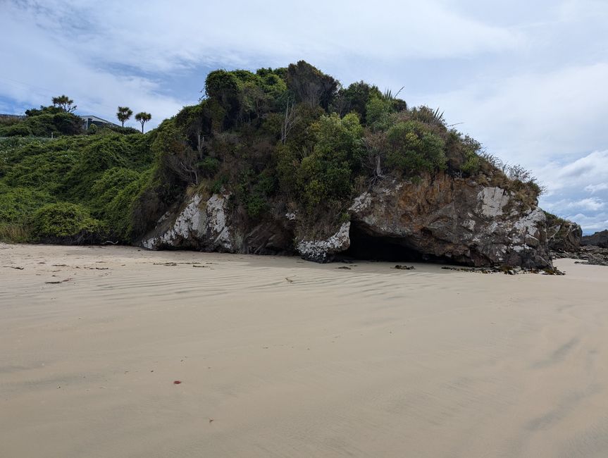 Dunedin - Manapourie