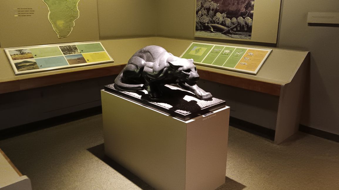 Museum of natural history I
