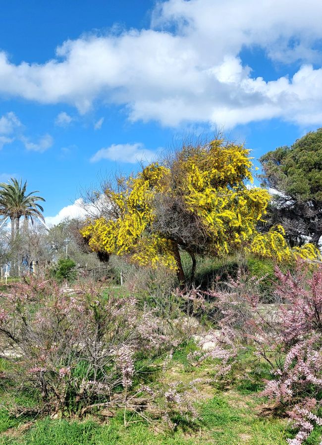Mallorca
