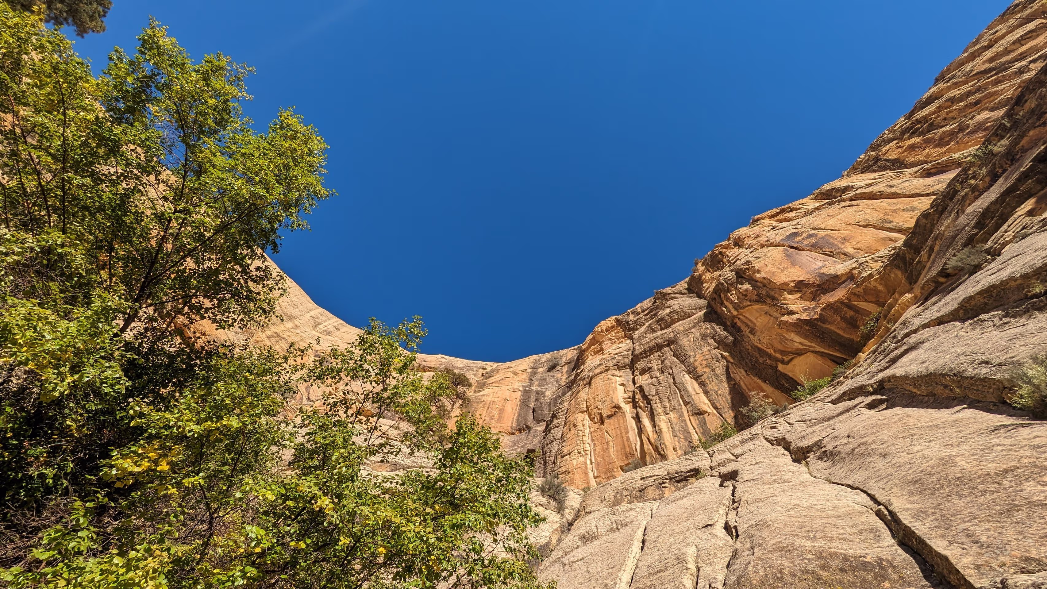 canyon