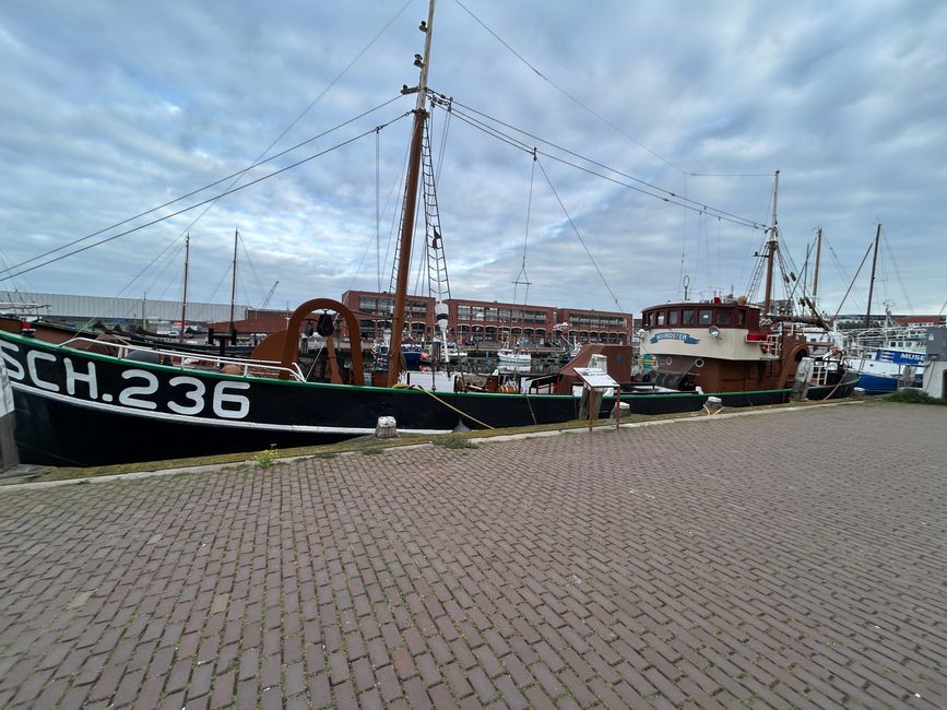 Etiqueta 6: Schevingen - Middelburg