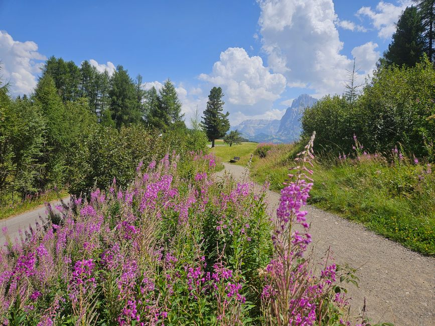 Panorama-Route Seiser Alm 