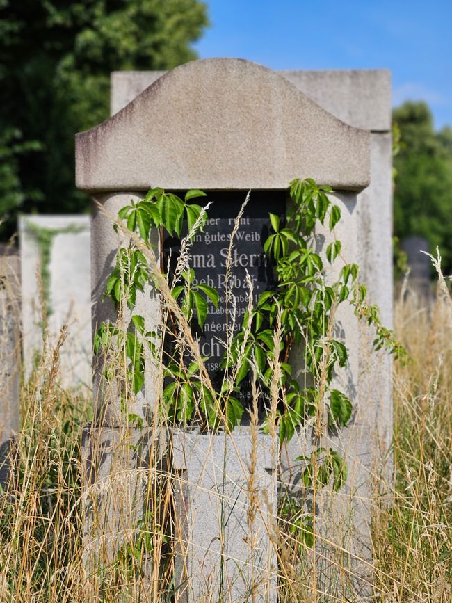 Jüdischer Grabstein 