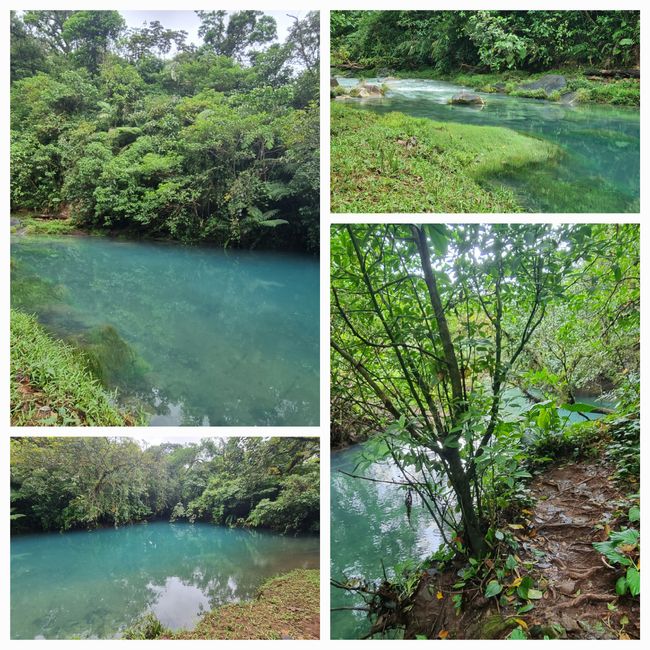 Parco Nazionale Vulkan Tenorio/ Rio Celeste