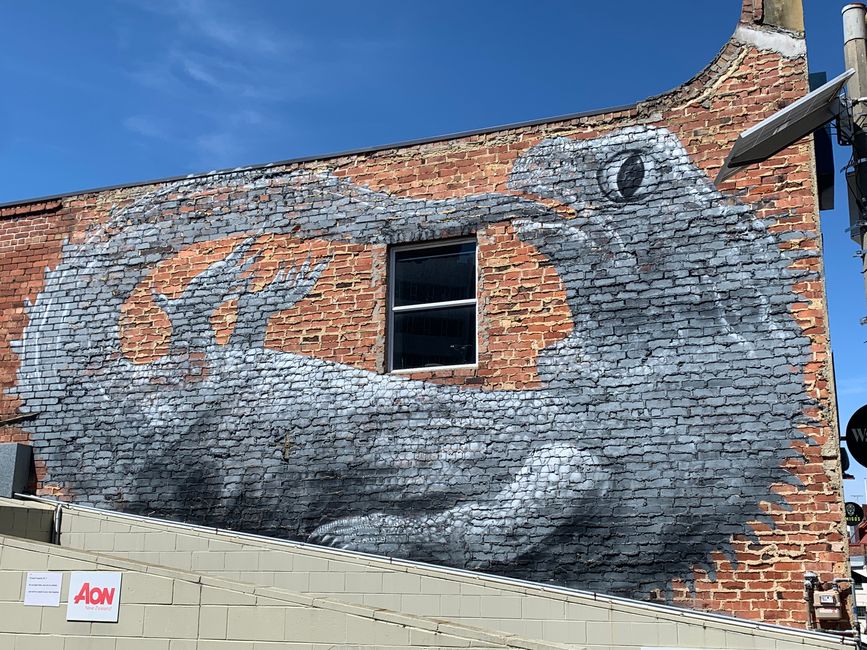 Dunedin and Taiaroa Head