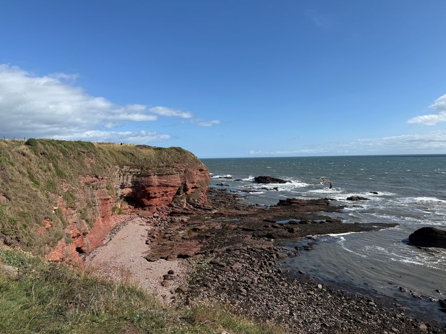 Arbroath, Smokies und Klippen