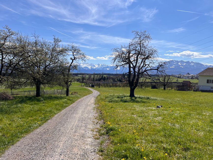 22‘222 Kilometer erreicht