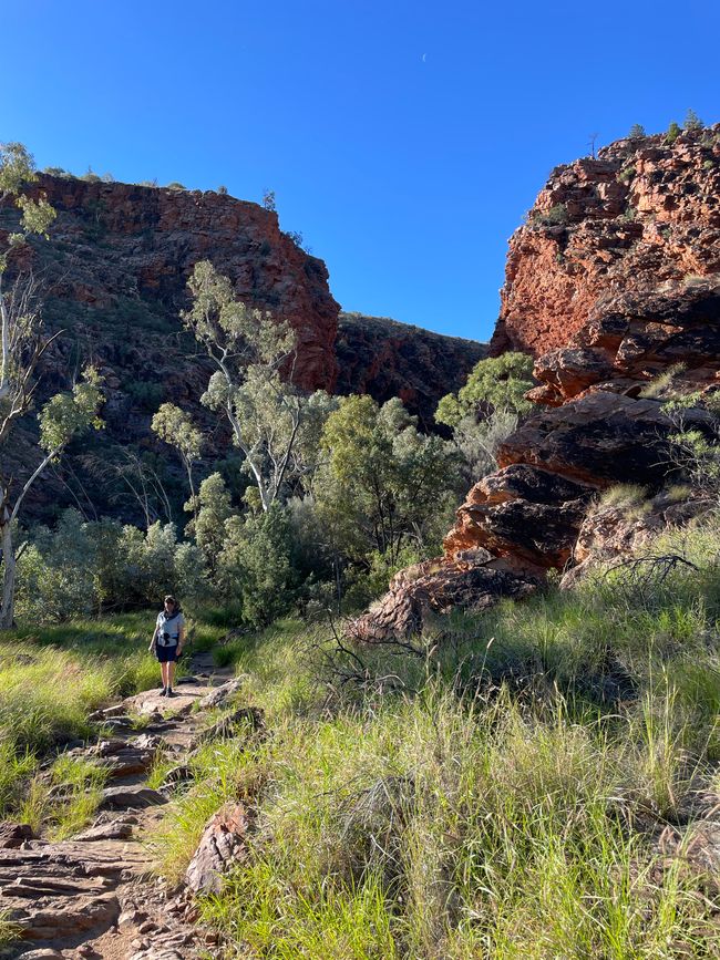 En route vers la Serpentine Gorge