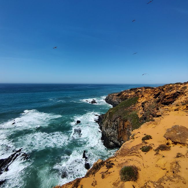 Zambujeira do Mar -> Almograve