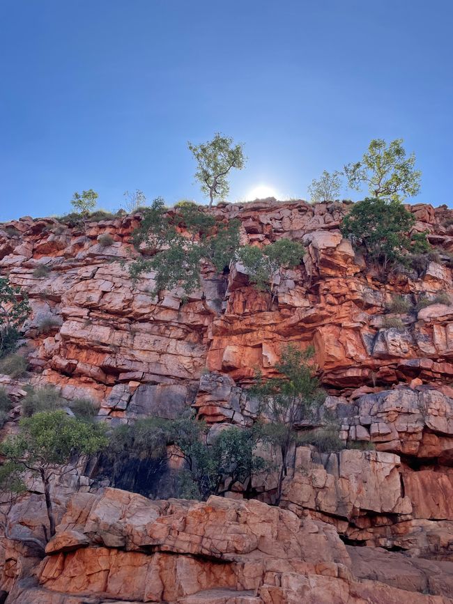 Sur le chemin du retour de l'Amalia Gorge