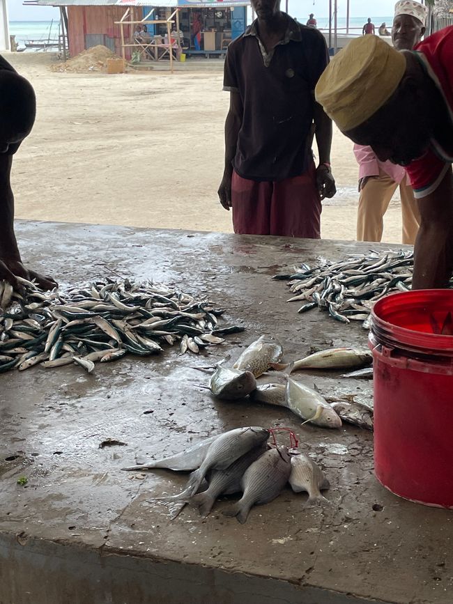 En el mercado de pescado