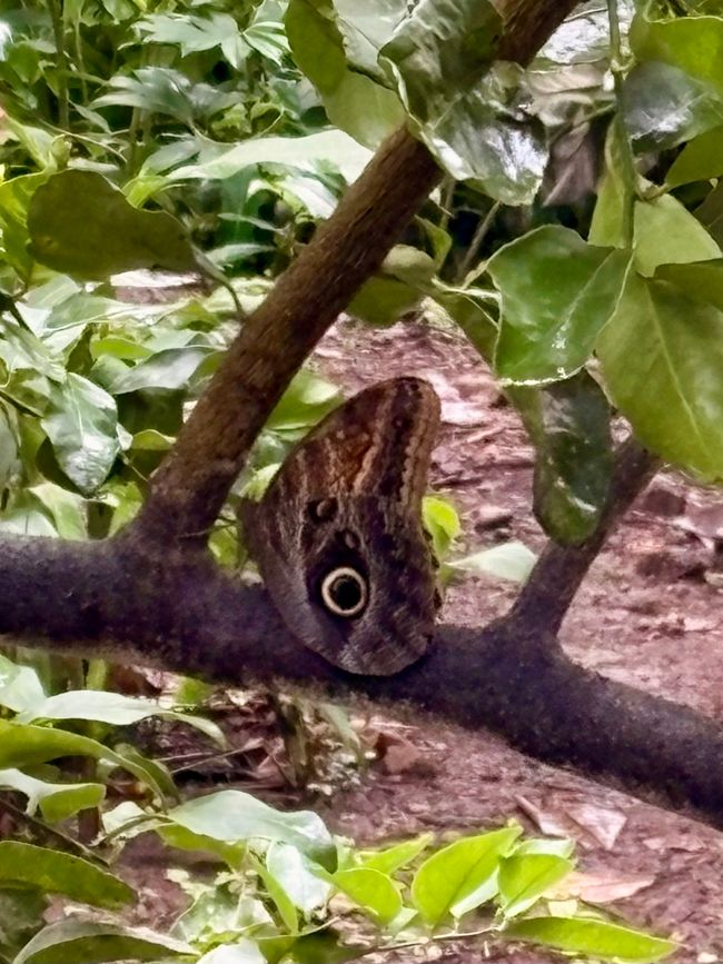 Unterwegs in Costa Rica