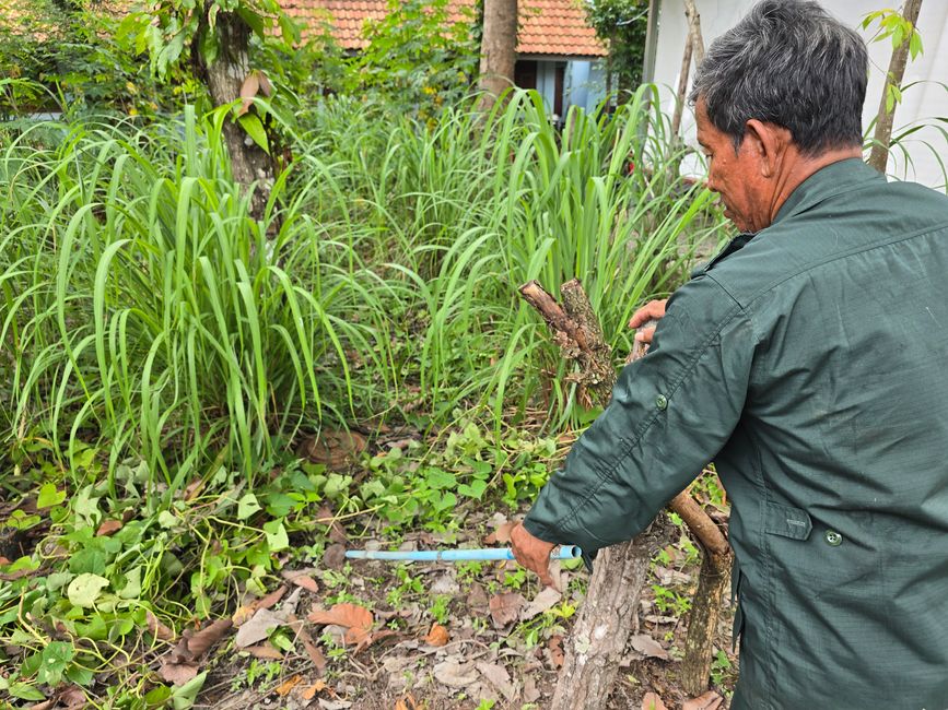 Aki Ra's Cambodia Landmine Museum
