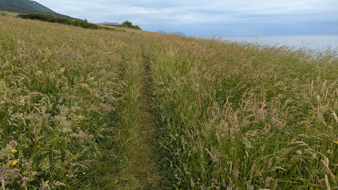 3. Etappe Camino del Norte von Castro Urdiales nach Liendo