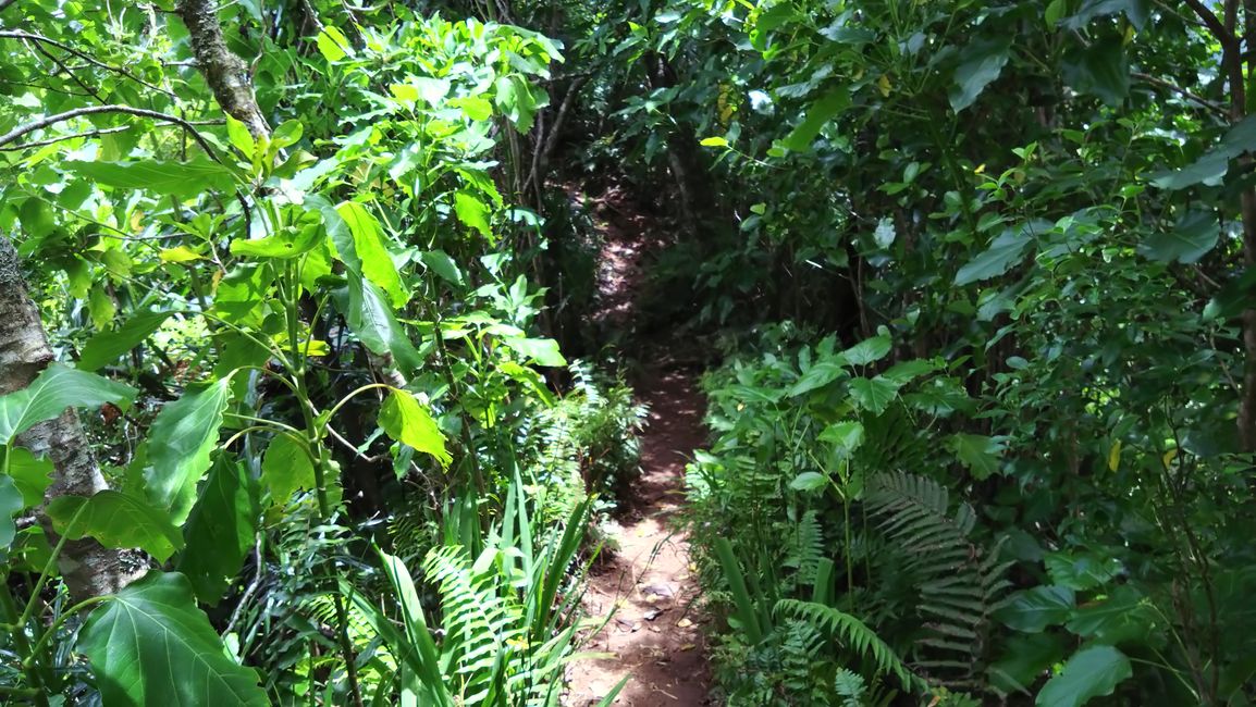 Rarotonga - Caminata cruzada por la isla