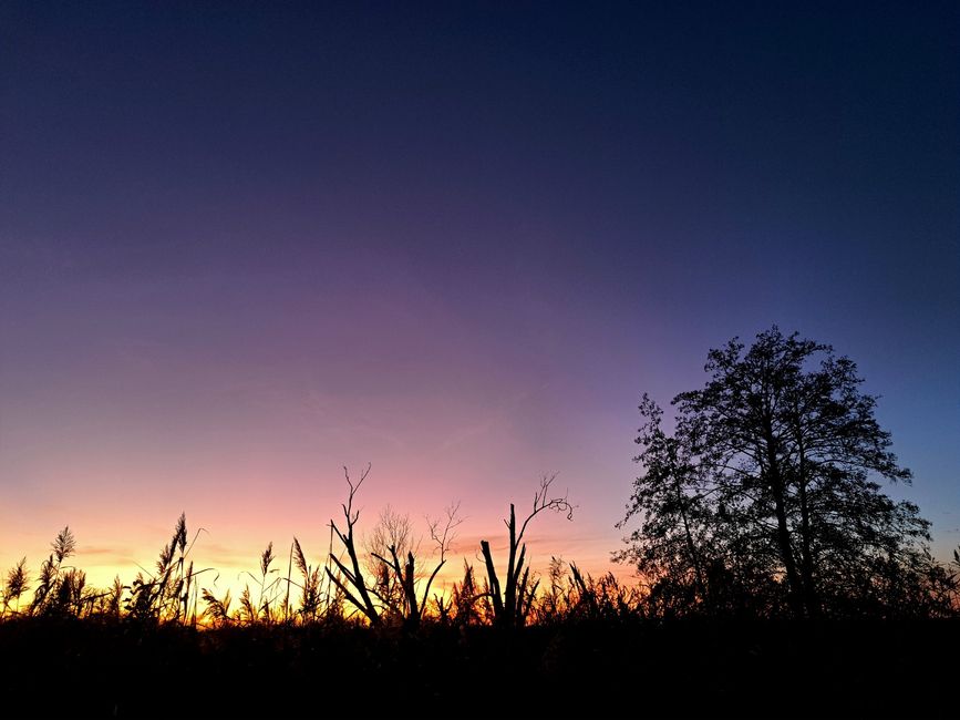 Sonnenuntergang in Linum