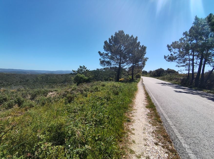 Arrifana -> Aljezur