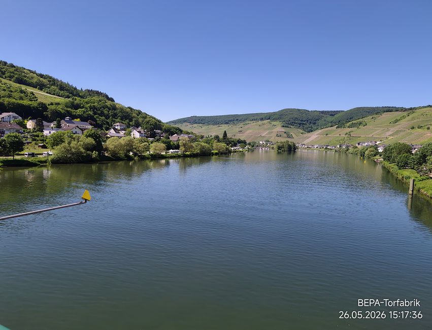 Ein , Arbeitstag ' für Herrchen an der Mosel 