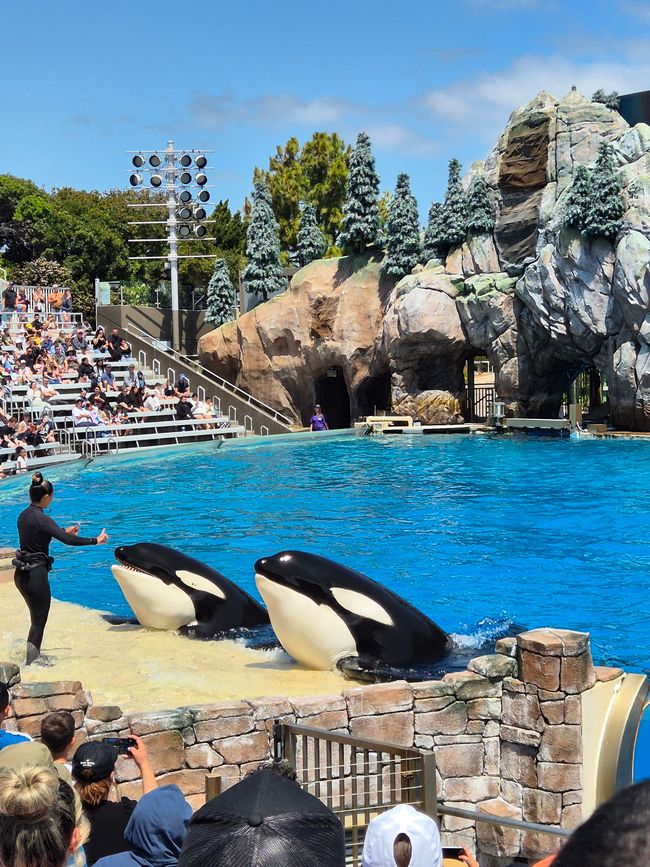 Sea World