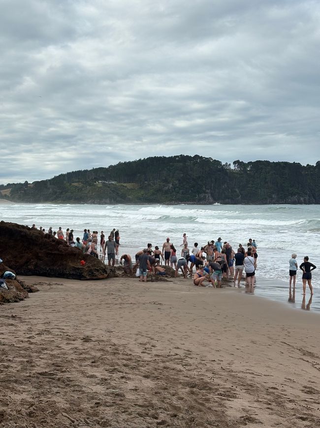 Hot Water Beach- wir werden Digger