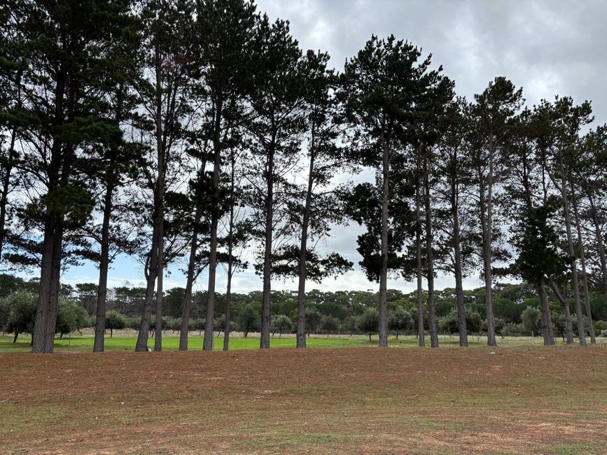 Margaret River