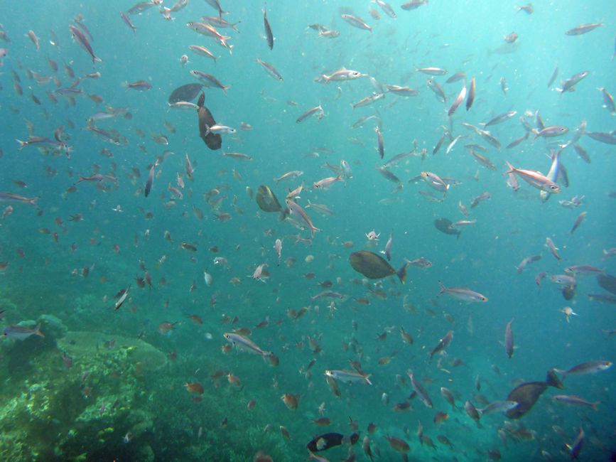 Waiag, Raja Ampat, Indonesia