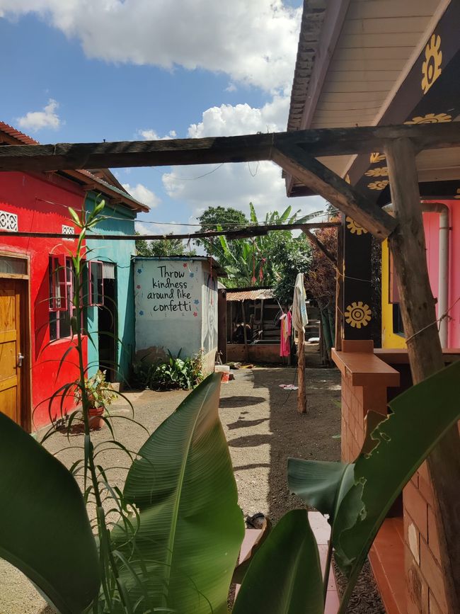 Tansania - Tag 8: Eco Banana Farm