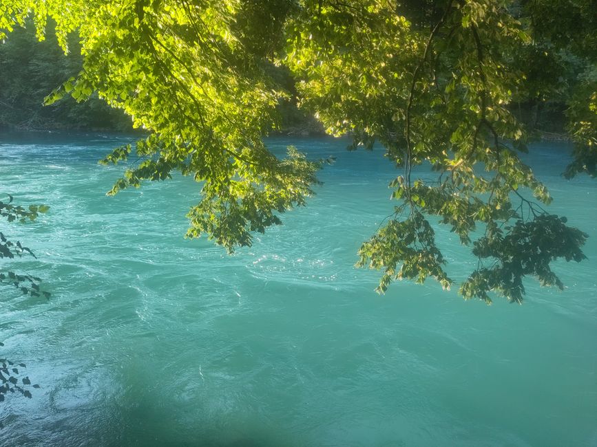 unglaublich all dieses turkiesgrüne Wasser! (hier die Aare zwischen Thuner- und Brienzersee)