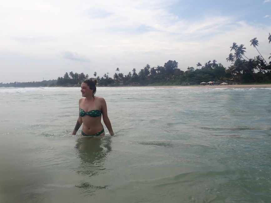 Matara - Mauvais temps, pas de baleines, mais des Salties (crocodiles d'eau salée)