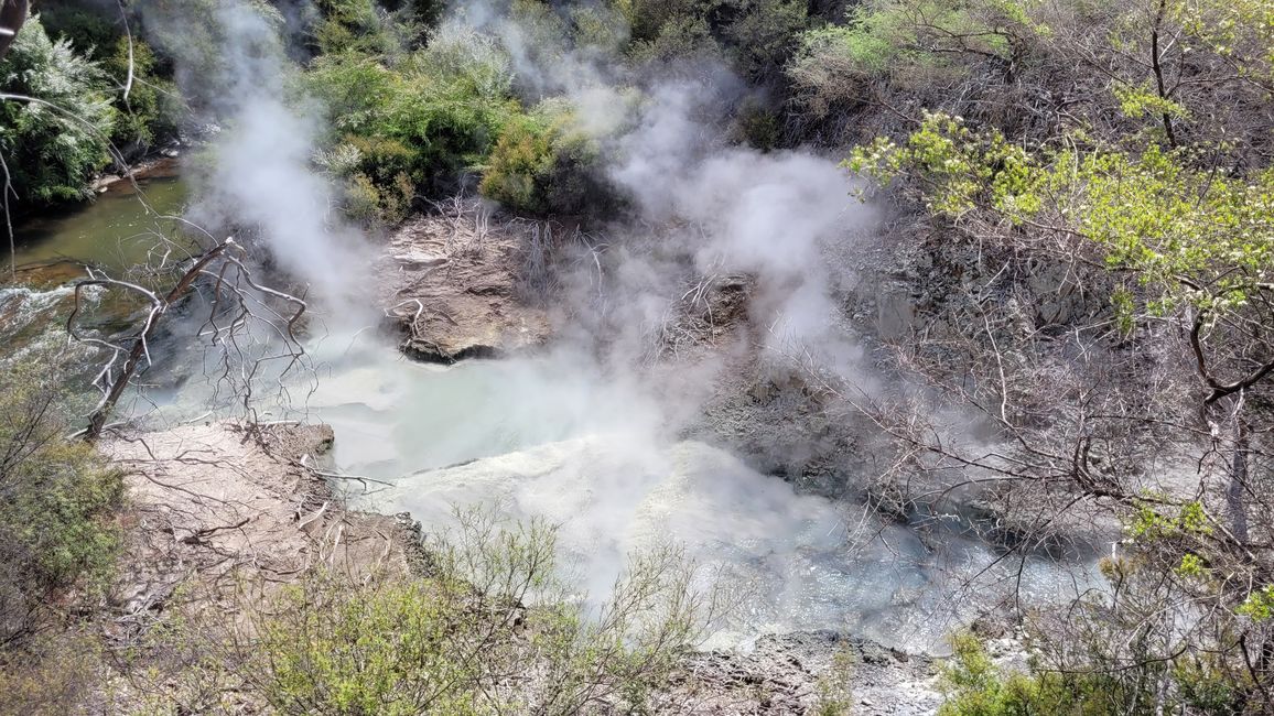 In Wai-O-Tapu National Park and at Lady Knox