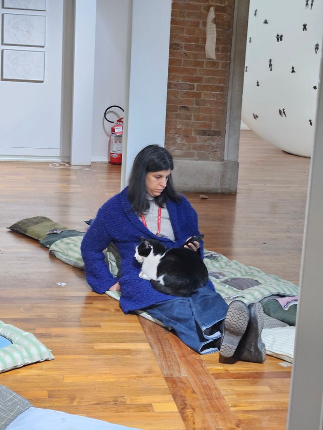 Installation mit lebender Katze