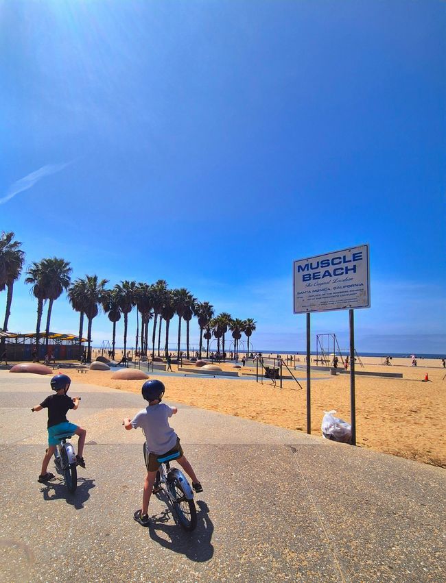 Crusin' Muscle Beach